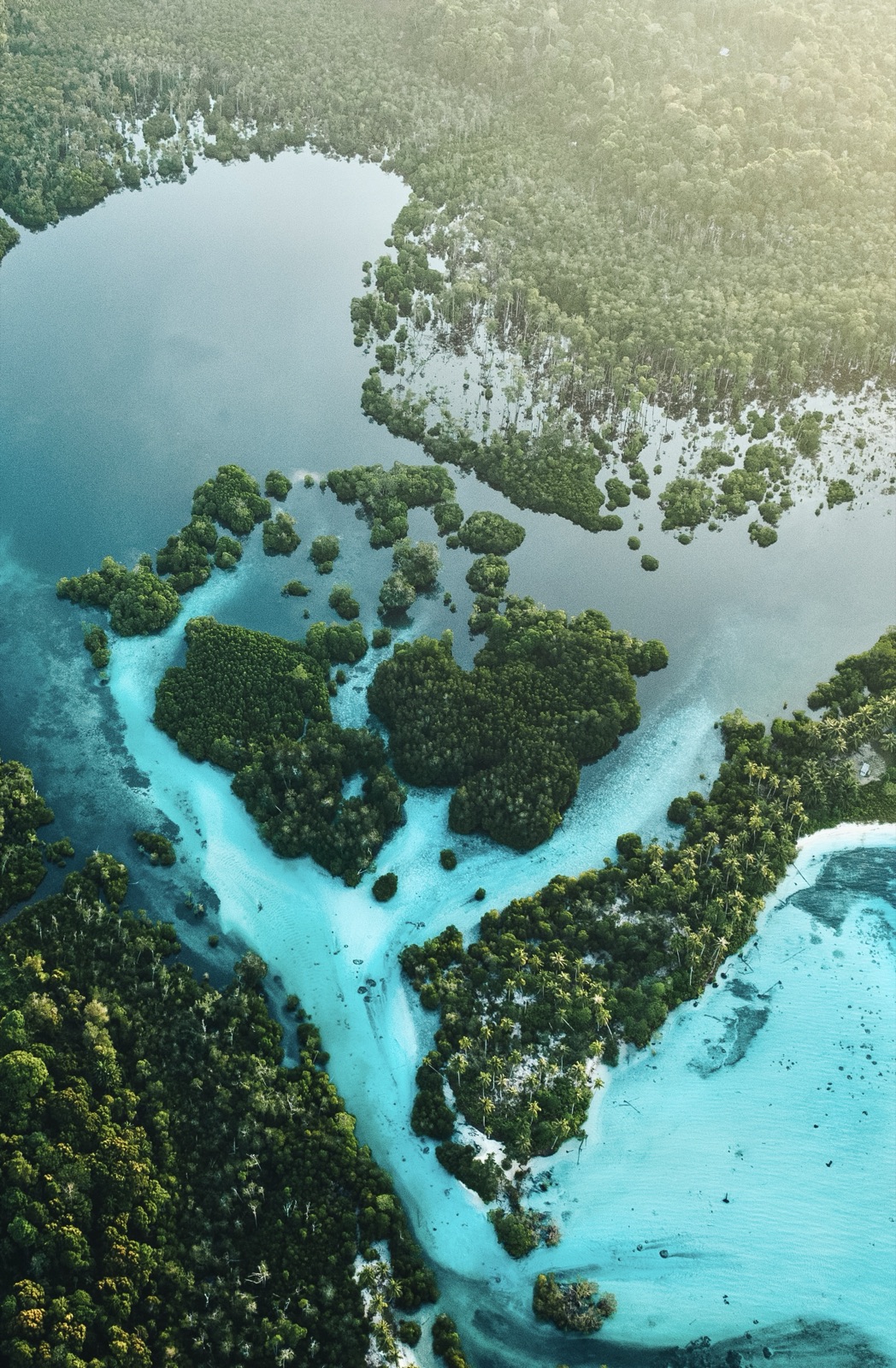 Mangrove islands in a pale blue river mouth, Mentawai Islands